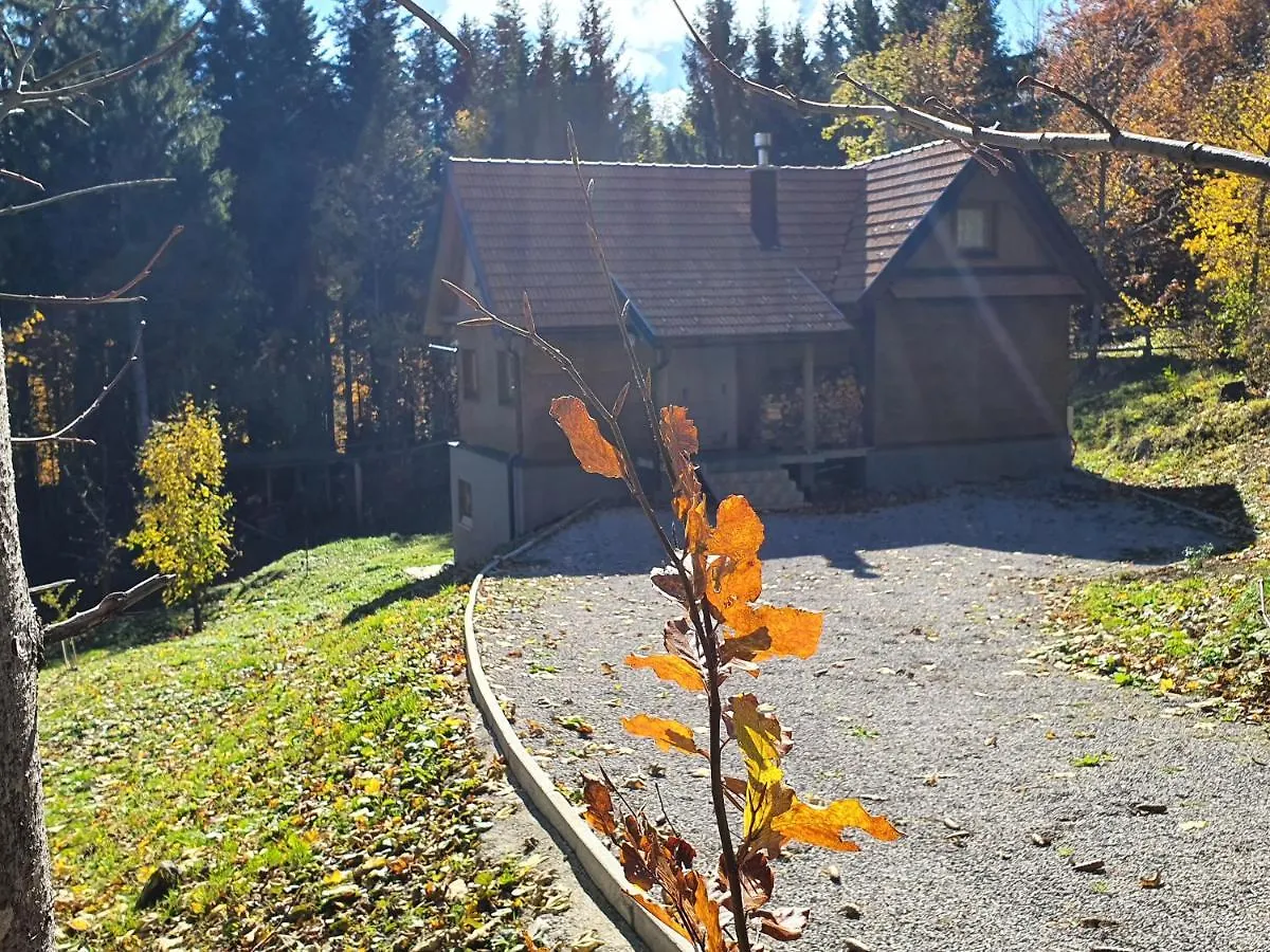 Starry Laz Mountain House Villa Ravna Gora 0*,  Croatia