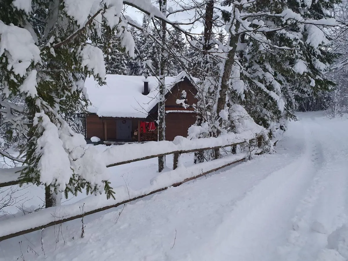 Starry Laz Mountain House Villa Ravna Gora 0*,