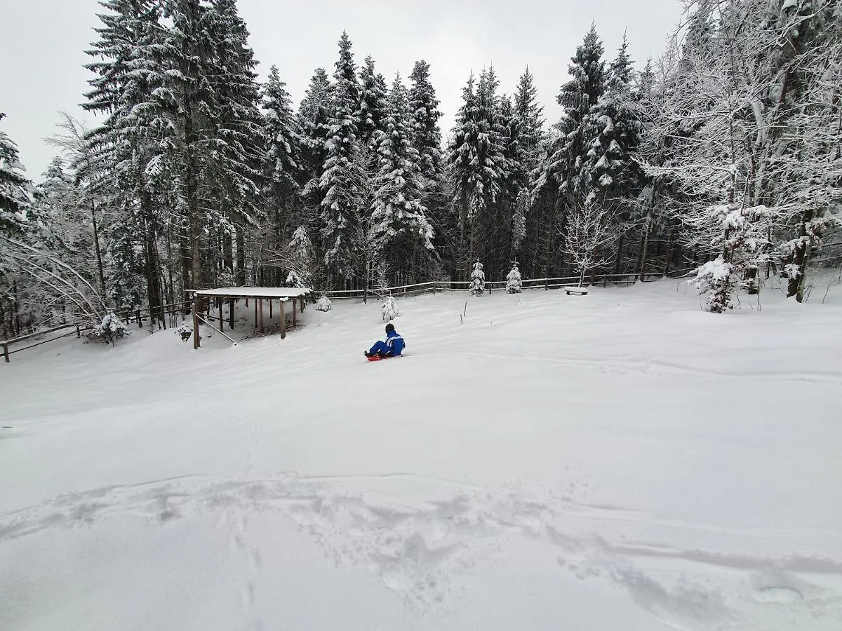 Starry Laz Mountain House Villa Ravna Gora Holiday home